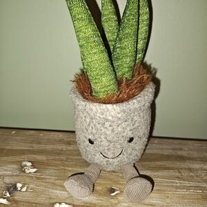 Jellycat Silly Succulent Aloe *Retired* EUC